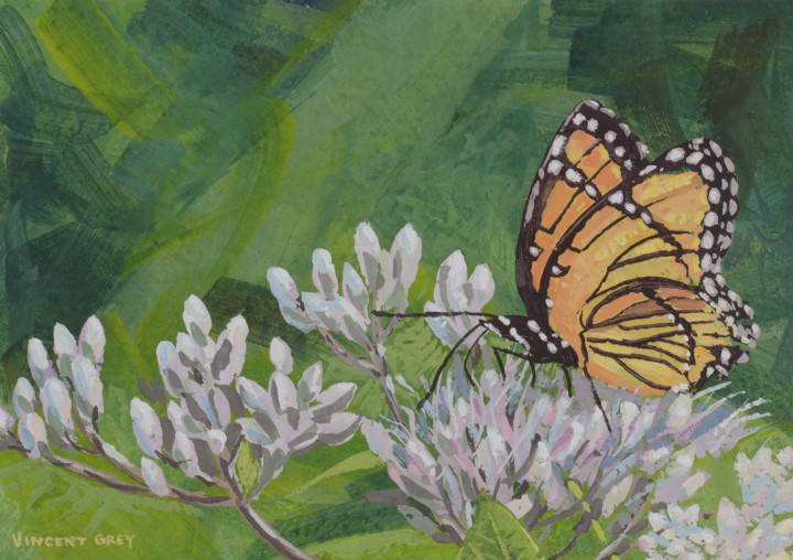 Gouache monarch butterfly