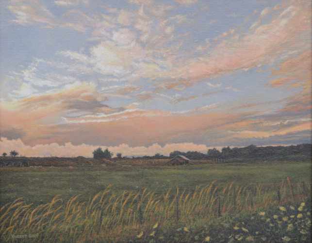 sunset over a pasture